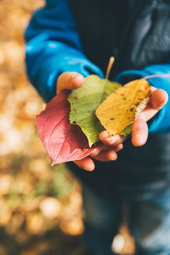 Office closure Monday October 11